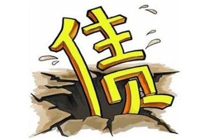 崇安追账公司